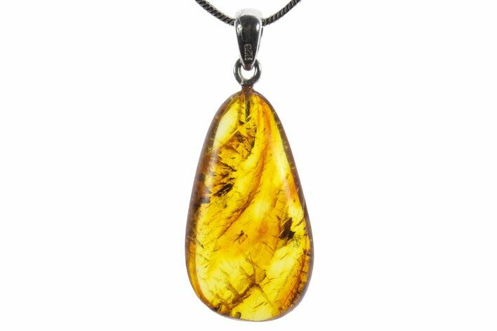 Polished Baltic Amber Pendant (Necklace) - Contains Fly! #352958